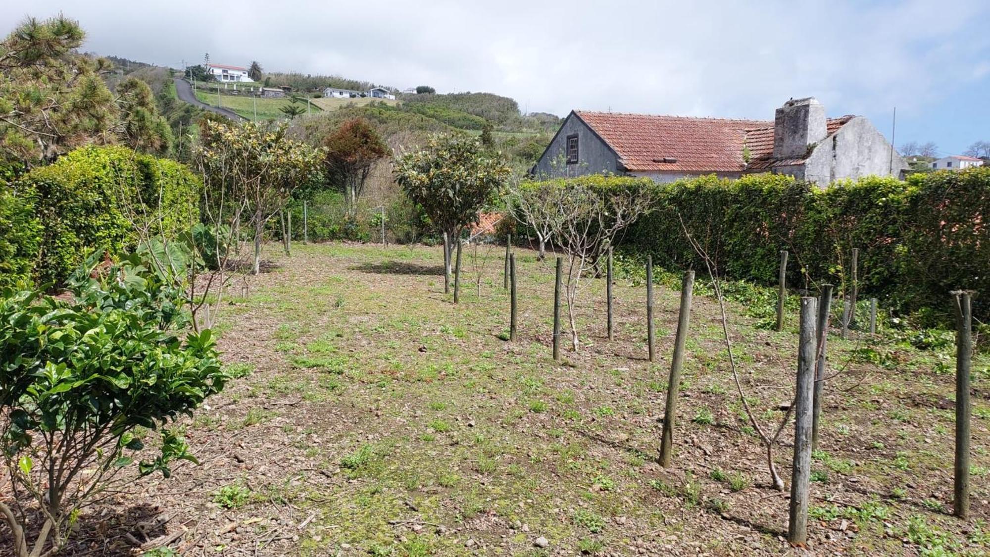 Retiro Das Camelias 1 Lajes das Flores Eksteriør bilde