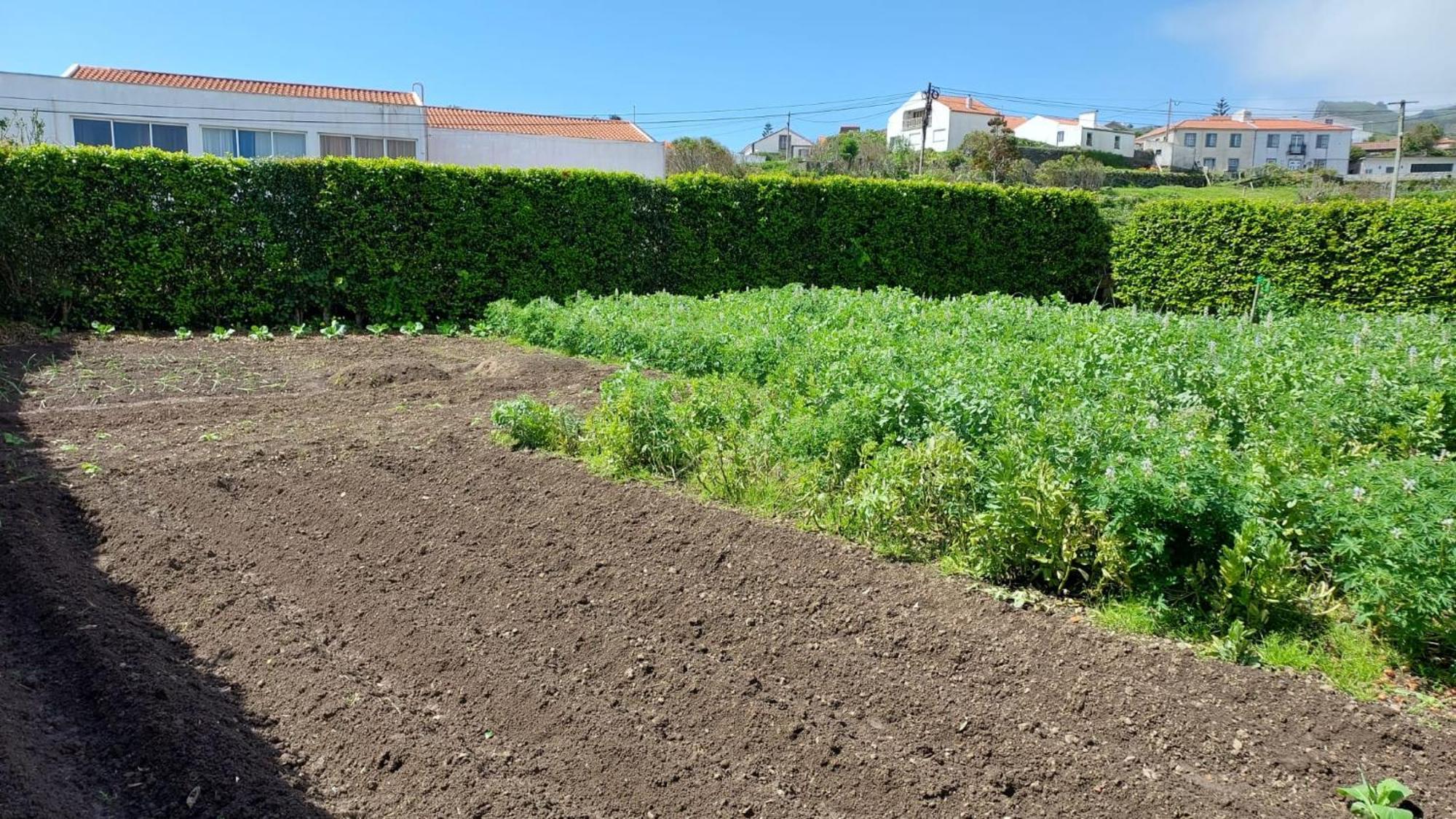 Retiro Das Camelias 1 Lajes das Flores Eksteriør bilde